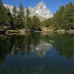 Апартаменти Casa Brunello *