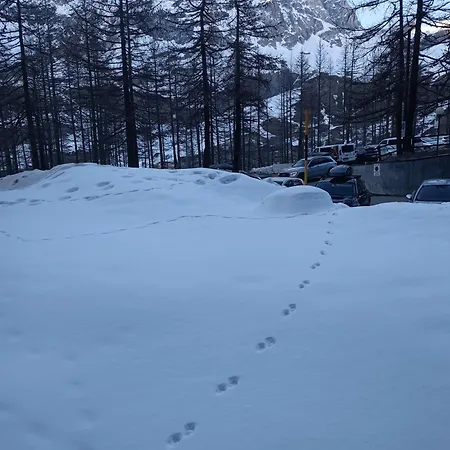 Casa Brunello 브루일서비니아